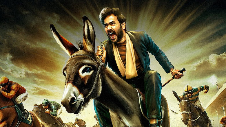 Gallery Stills