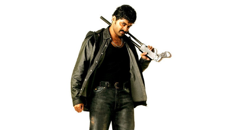 Gallery Stills