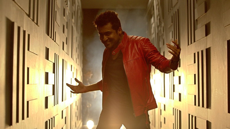 Gallery Stills