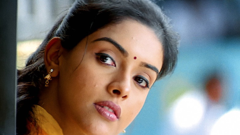 Gallery Stills