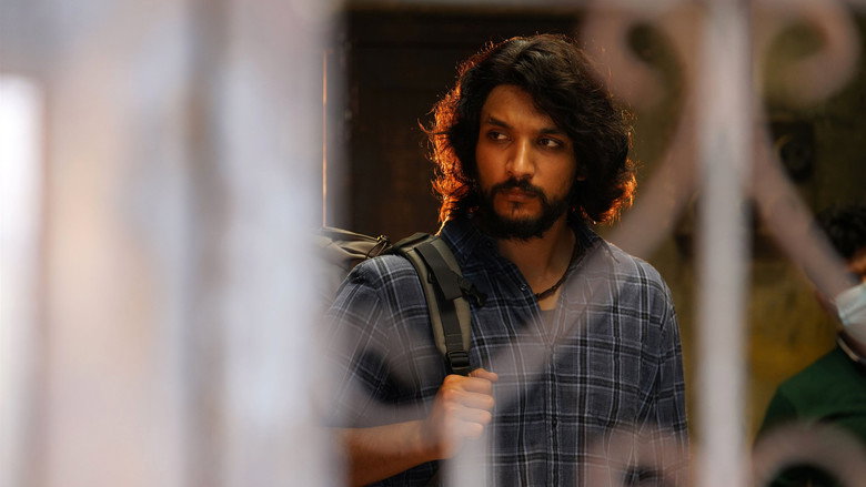 Gallery Stills