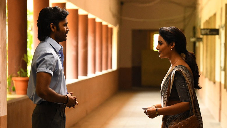 Gallery Stills