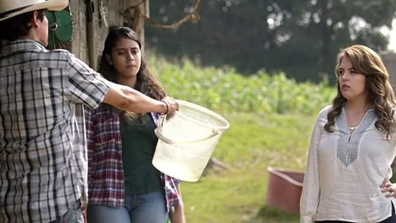 Gallery Stills