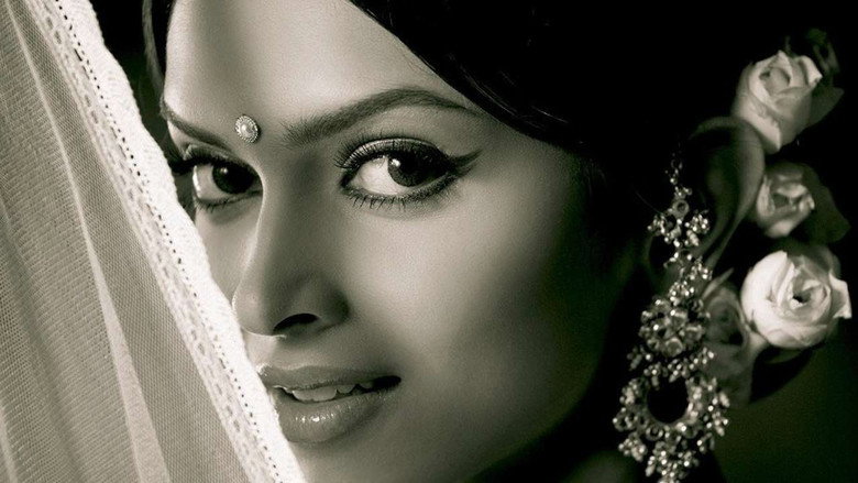 Gallery Stills