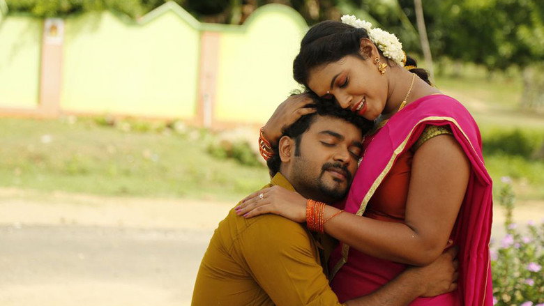 Gallery Stills