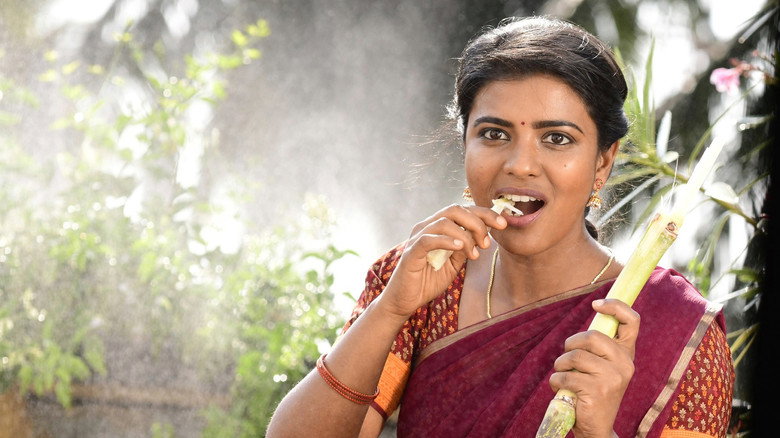 Gallery Stills