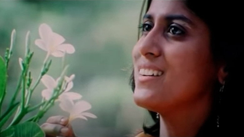 Gallery Stills