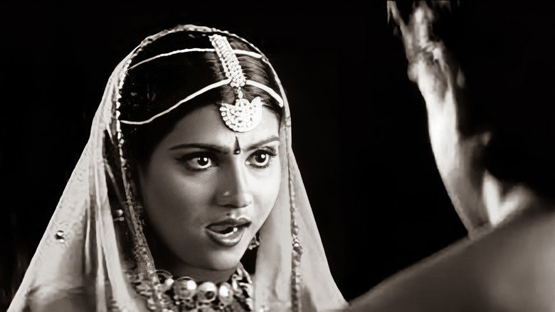 Gallery Stills