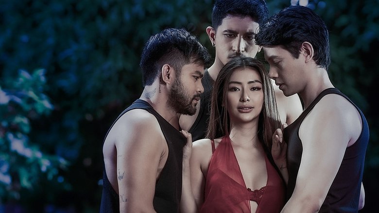Gallery Stills