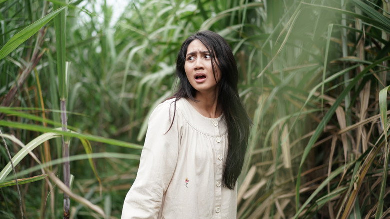 Gallery Stills