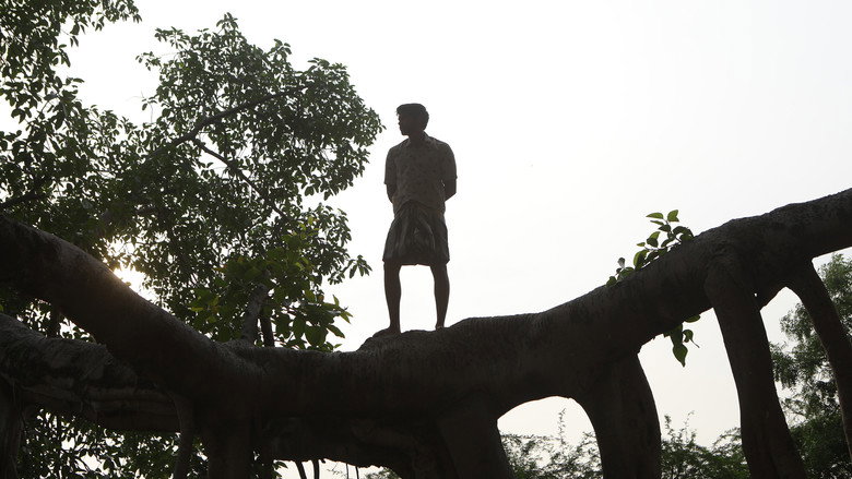 Gallery Stills