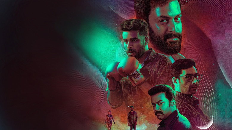 Gallery Stills