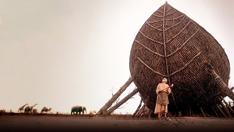 Gallery Stills