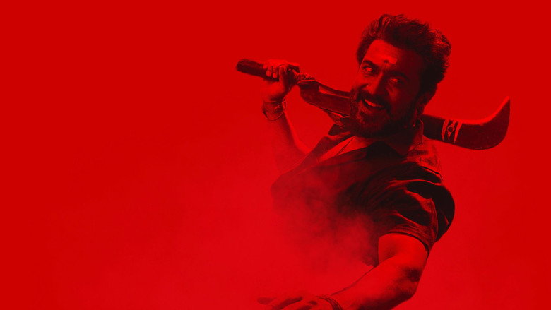 Gallery Stills