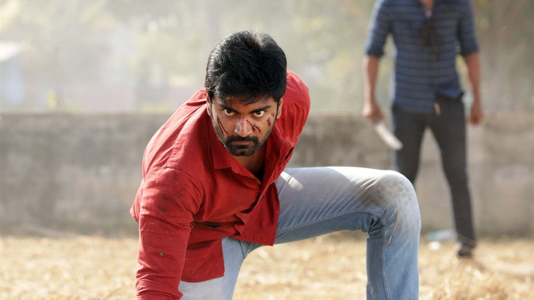 Gallery Stills