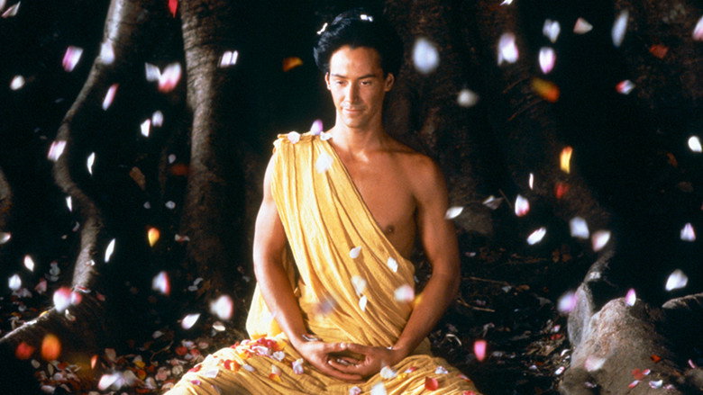 Gallery Stills