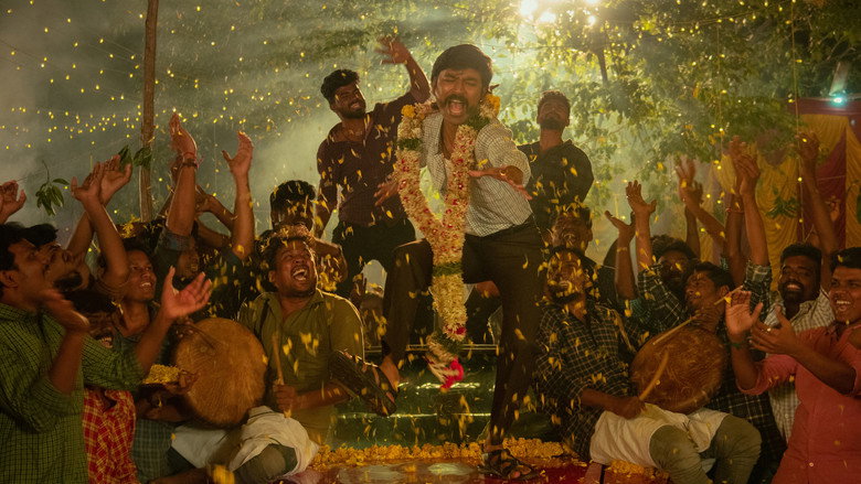 Gallery Stills