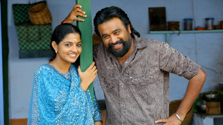 Gallery Stills