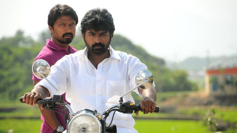 Gallery Stills