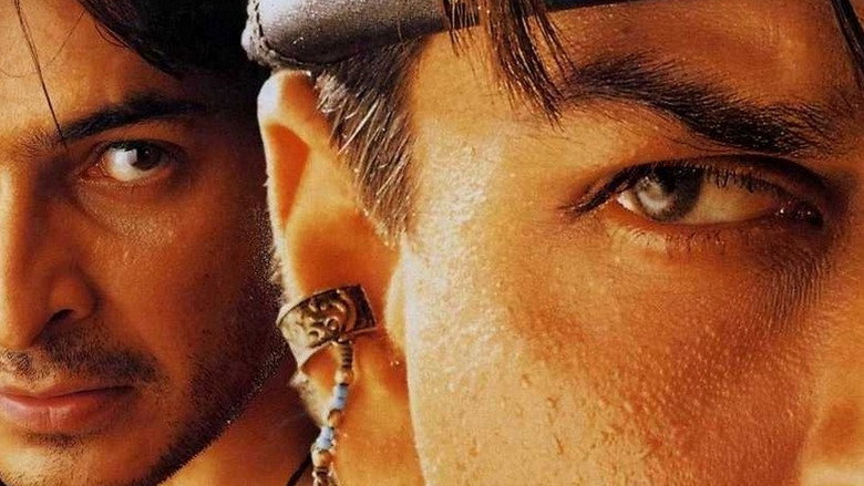 Gallery Stills