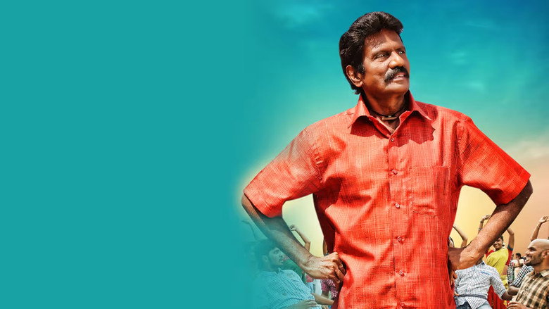 Gallery Stills