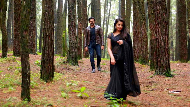 Gallery Stills