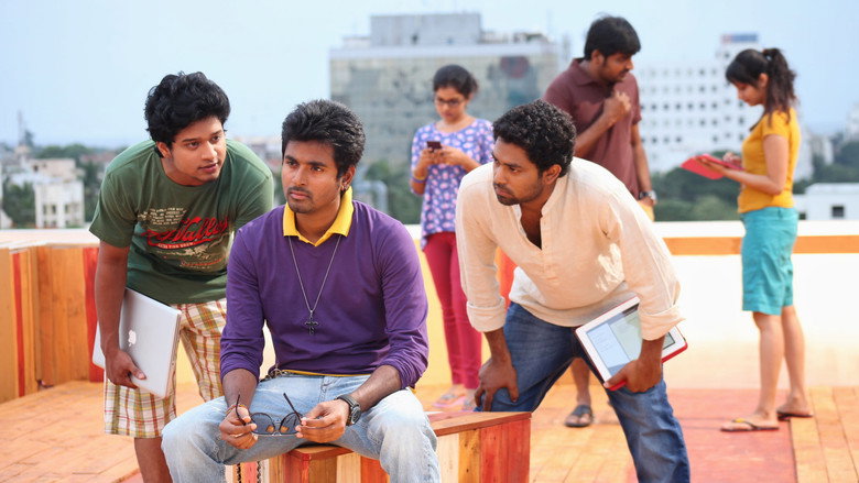Gallery Stills