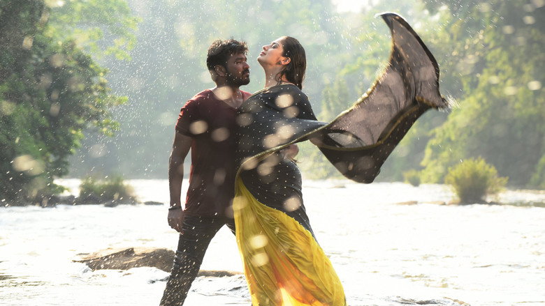 Gallery Stills