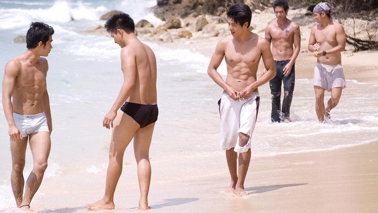 Gallery Stills