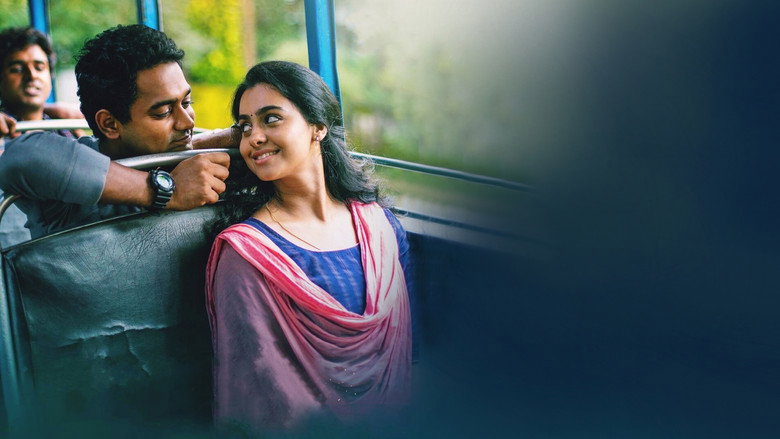 Gallery Stills