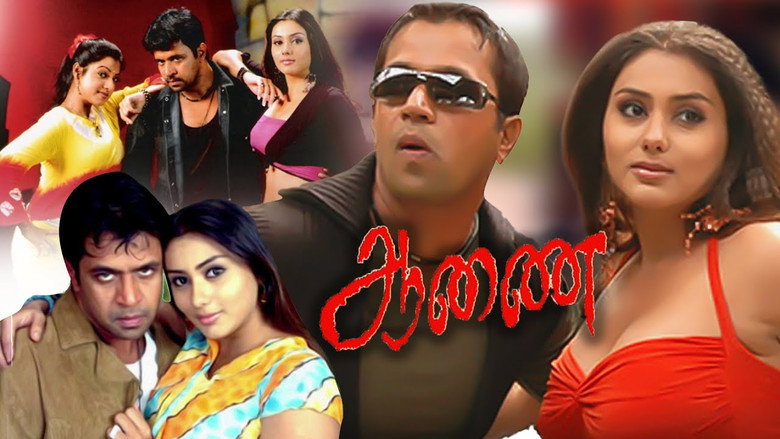 Gallery Stills