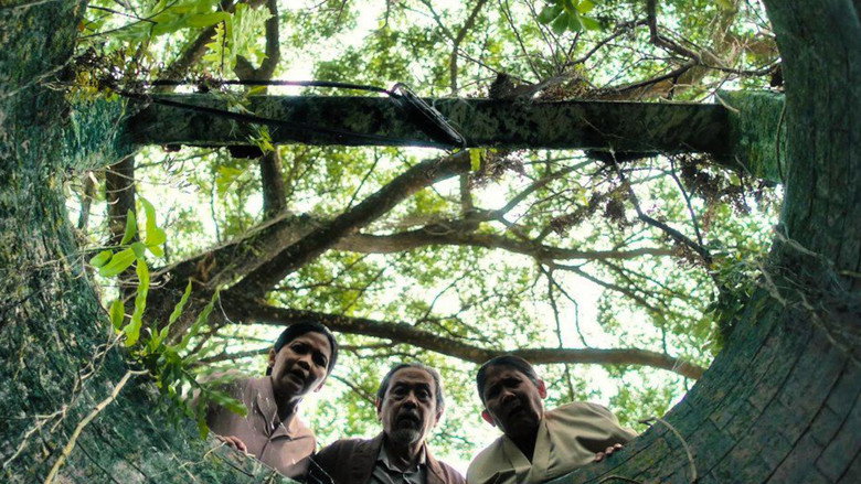 Gallery Stills