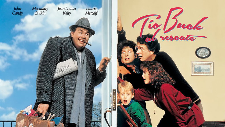 Gallery Stills