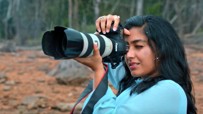 Gallery Stills