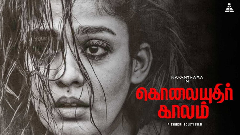 Gallery Stills