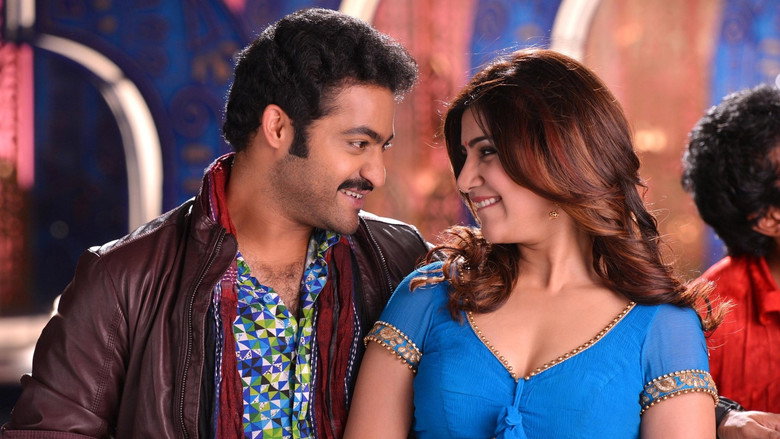 Gallery Stills