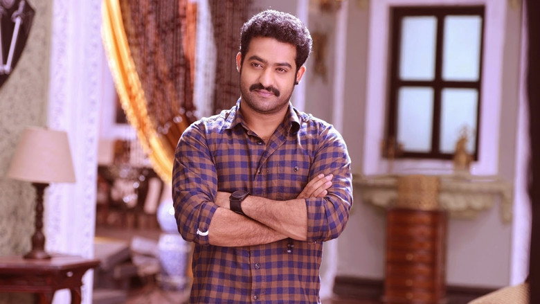 Gallery Stills
