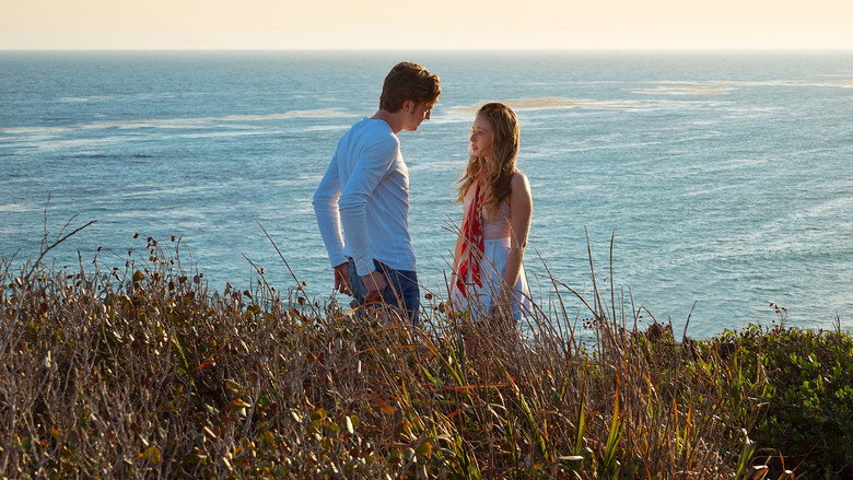 Gallery Stills