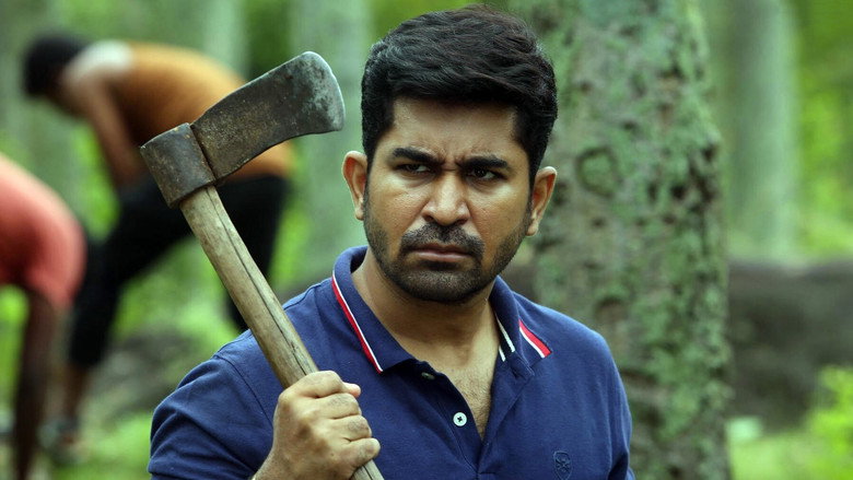 Gallery Stills