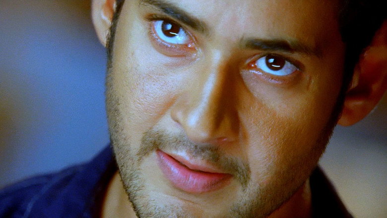 Gallery Stills