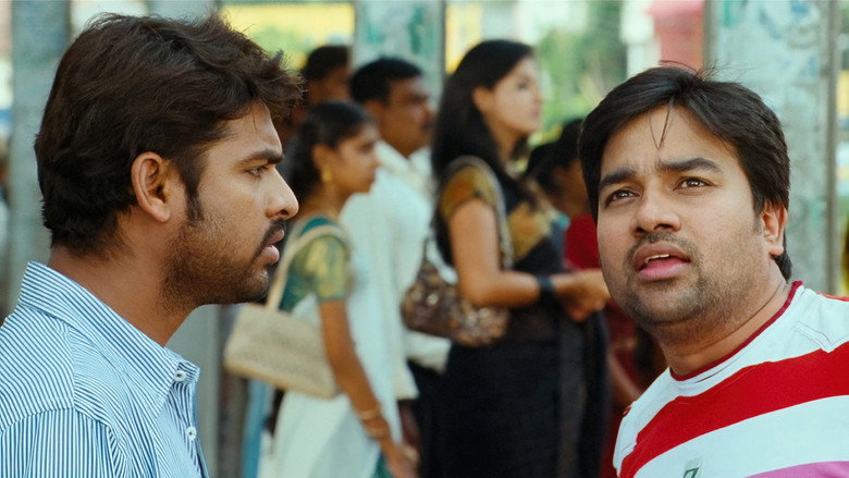 Gallery Stills