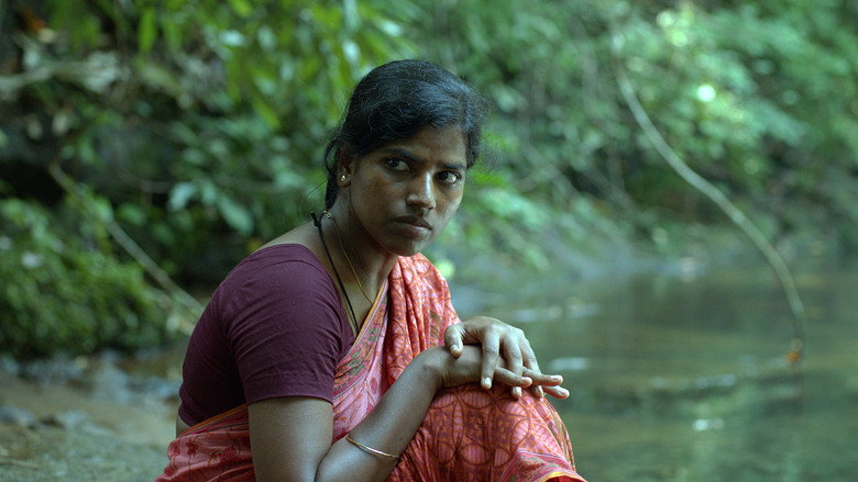 Gallery Stills