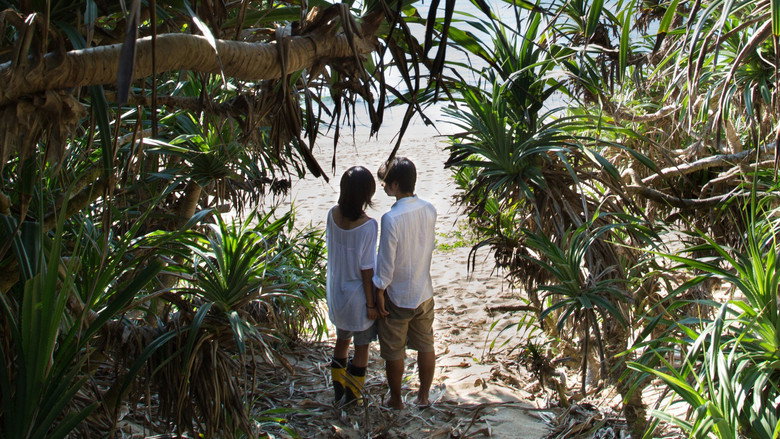 Gallery Stills