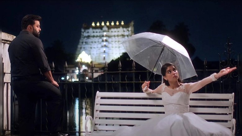Gallery Stills