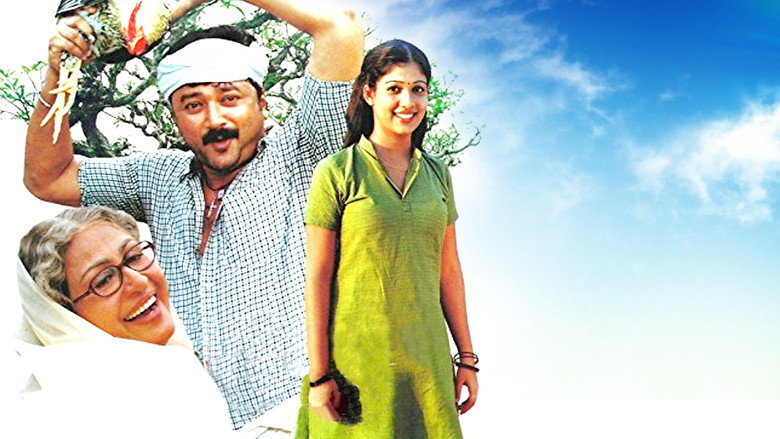 Gallery Stills
