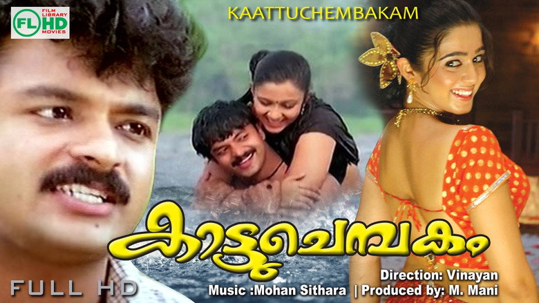 Gallery Stills