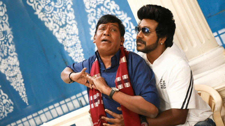 Gallery Stills