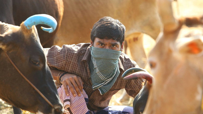 Gallery Stills