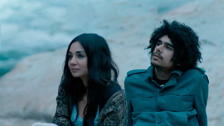 Gallery Stills