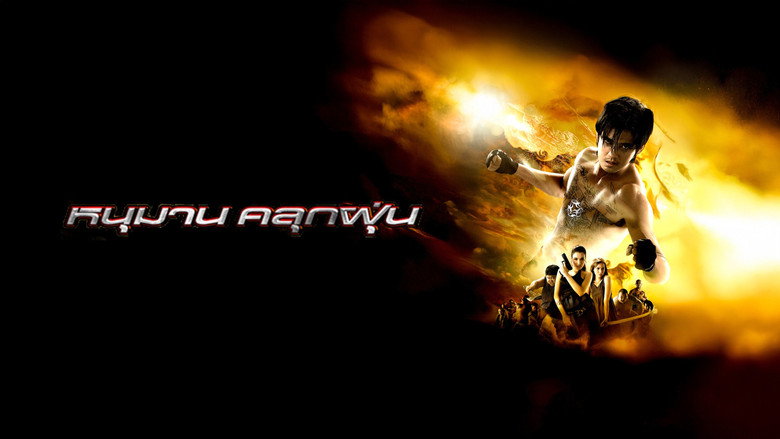 Gallery Stills